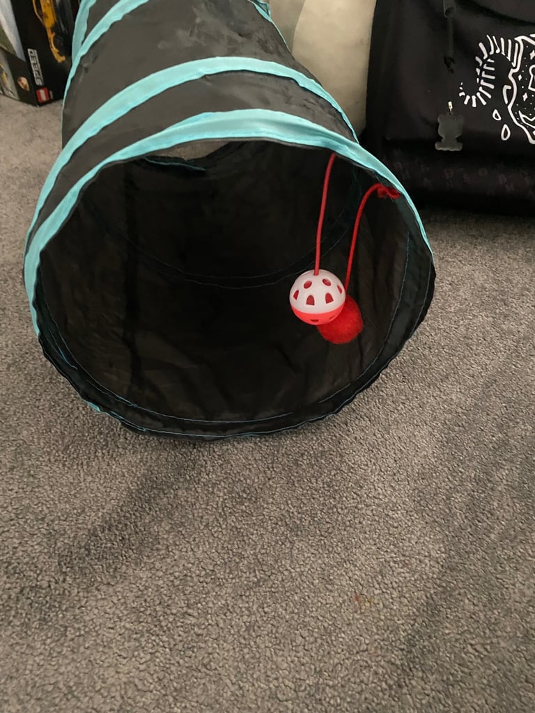 Cat bed and tunnel 