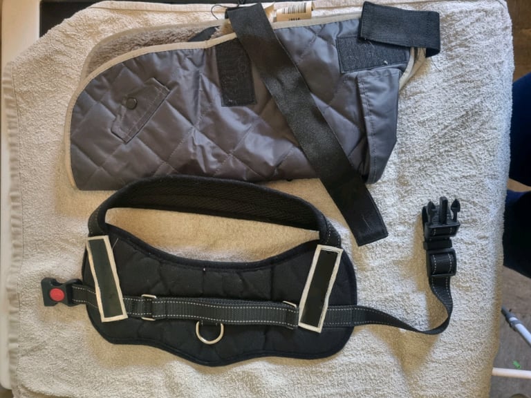 Small Dog Harness and Coat 