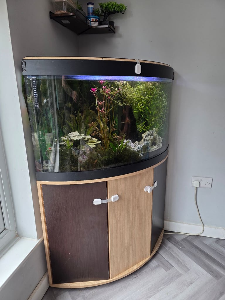 190L jewel fishtank with brandnew Fluval external filter, fully setup 