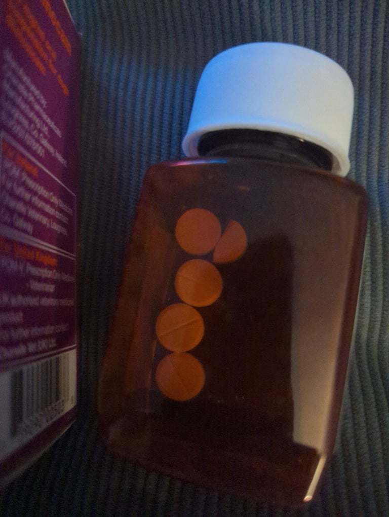 Pet medication 5 days worth