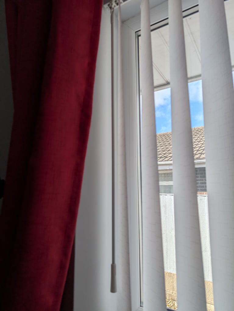 image for Vertical Blind