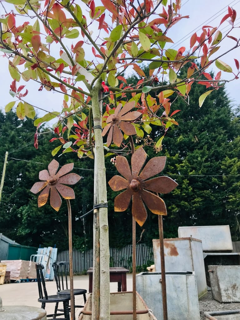 image for Set of 3 Rusty Steel Flower Plant Supports / Garden Stakes