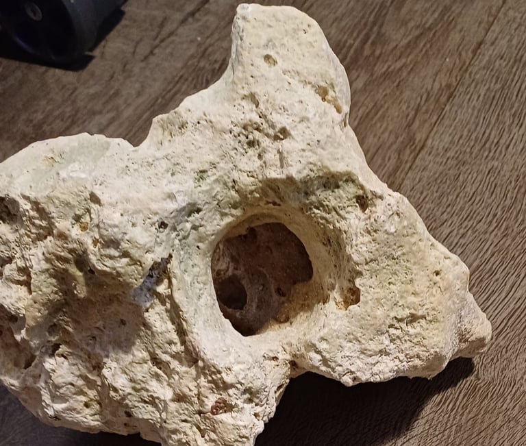 Ocean Rock