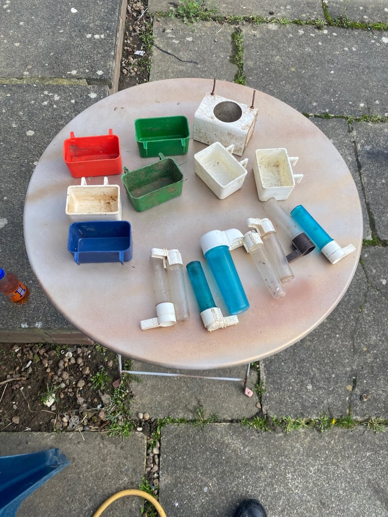 Quick sale whole lot of bird feeders and water dispenser for sale 