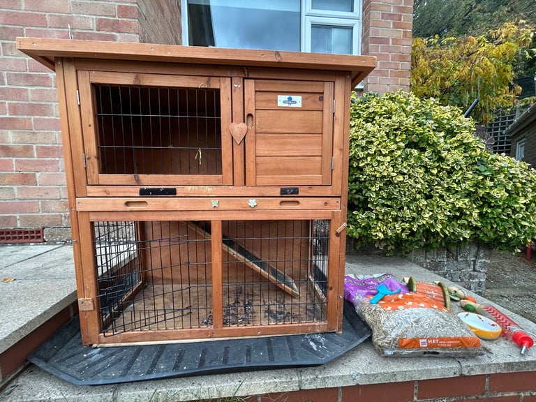 Guinea pig / small animal hutch 