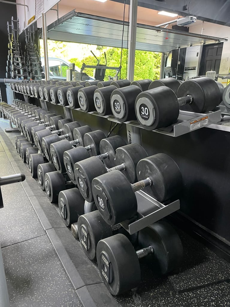 60 kg dumbbells online for sale