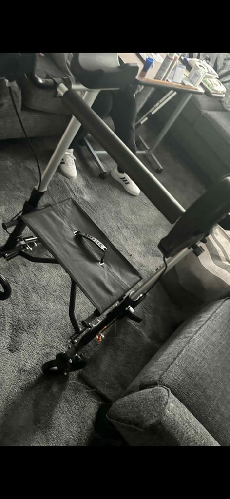 Mobility walker 