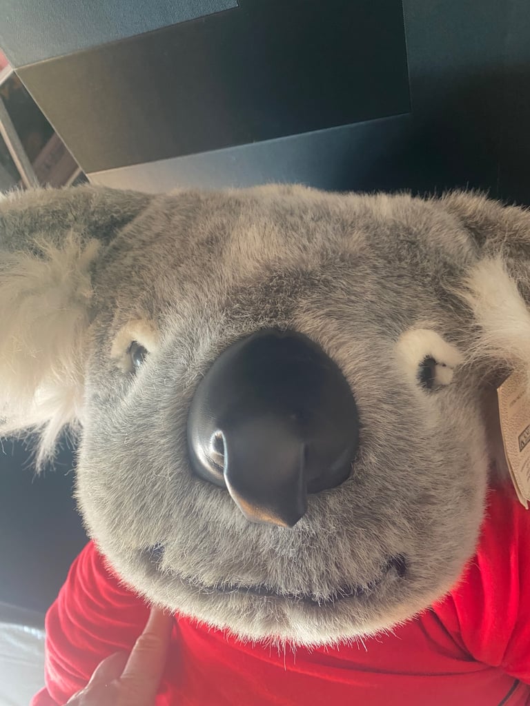 Large Koala bear 