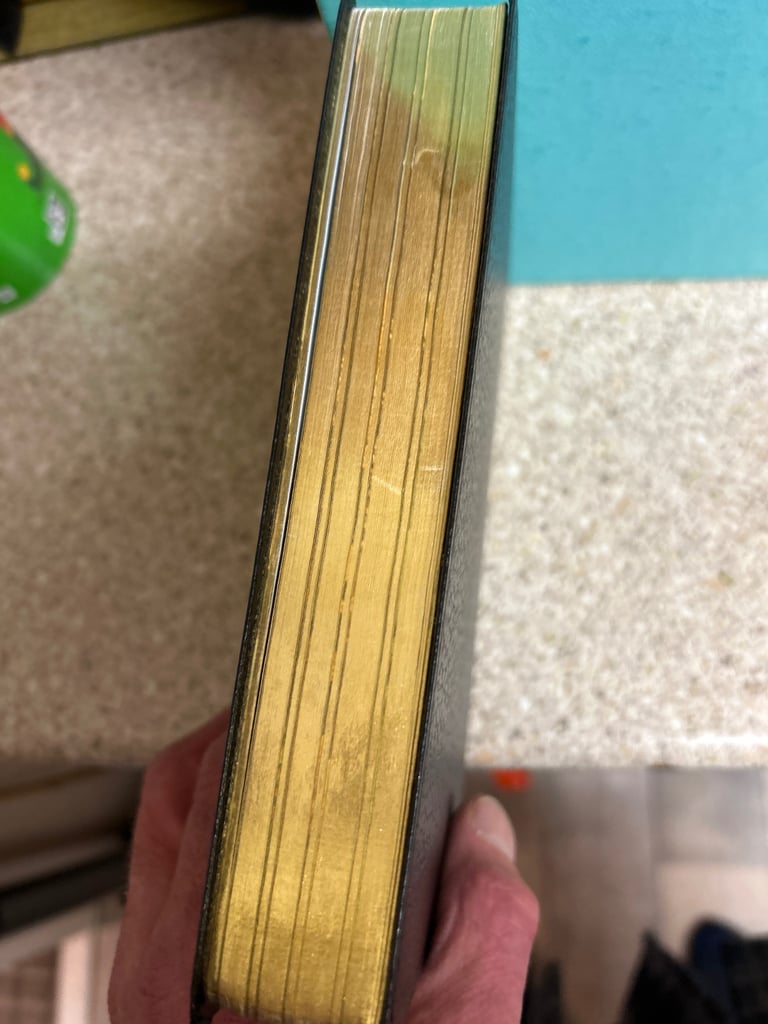 Collins Revised standard version bible 