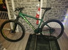 Carrera vengeance mountain bike