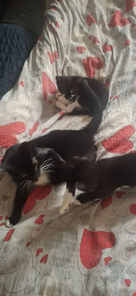 the boy is waiting for his new home 