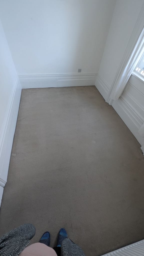 image for Free carpet 220cm x 326cm