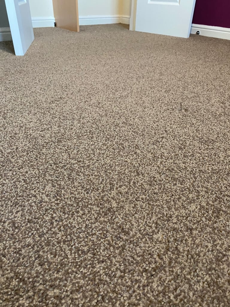 Bedroom carpet great condition - 10 square meter - bargain