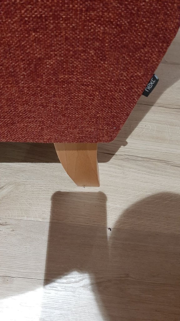 Next Wingback armchairs