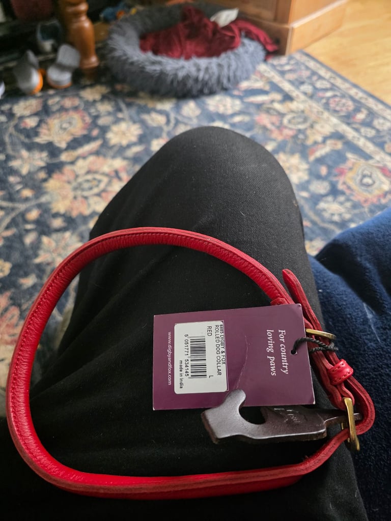 Digby & Fox large dog collar