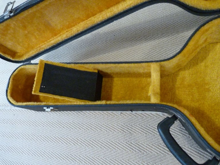 Lined Guitar hard case