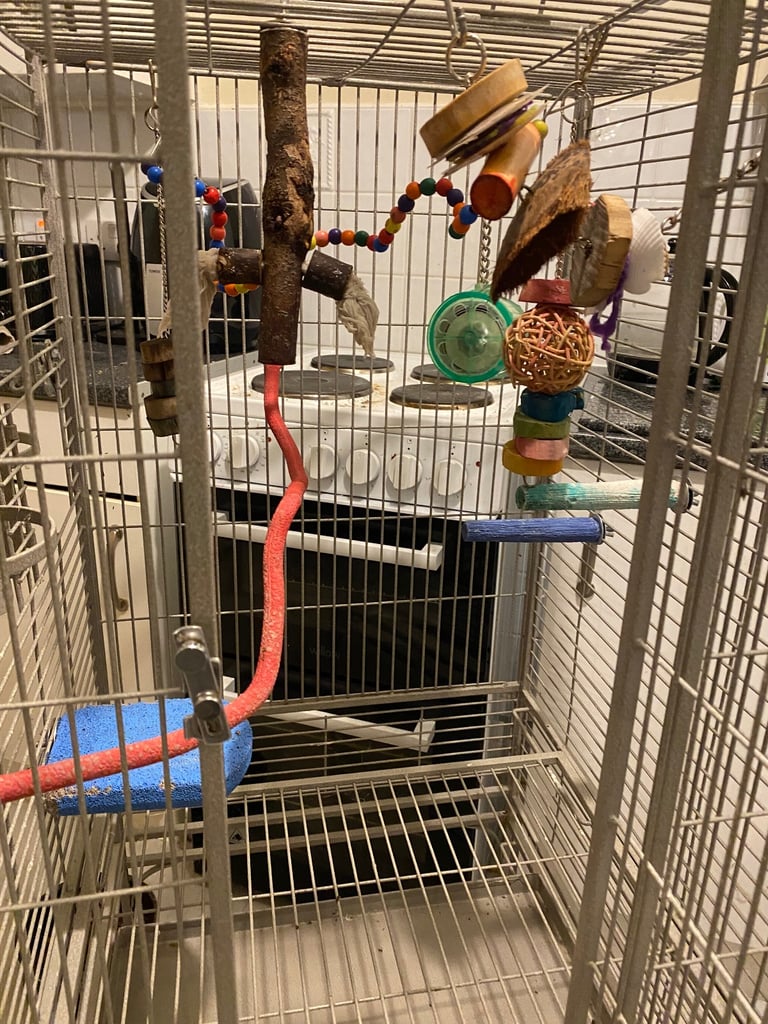 Bargain buy Ohio Play Top Parrot Cage