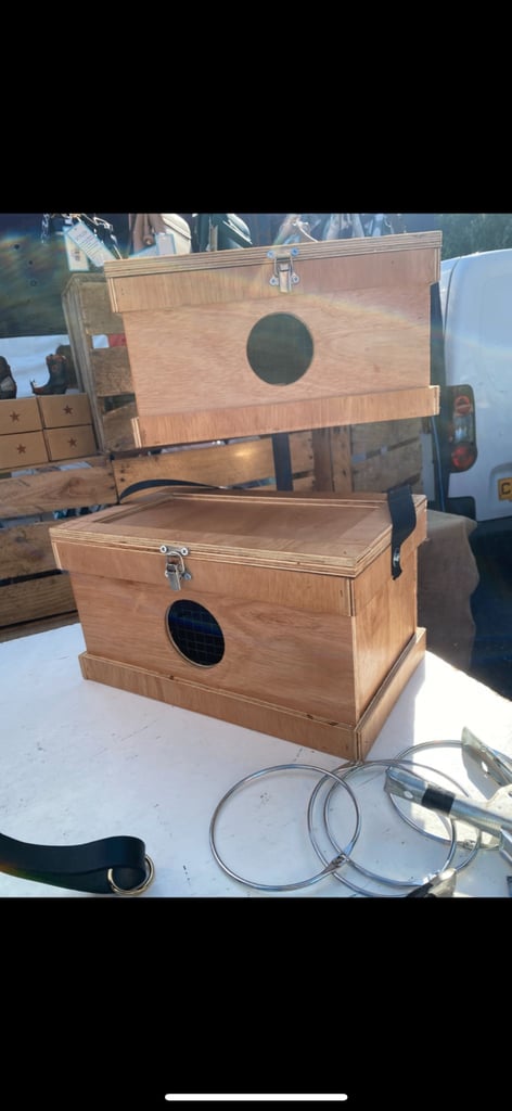 Terrier boxes ( Ferret terrier patterdale Lakeland russles )