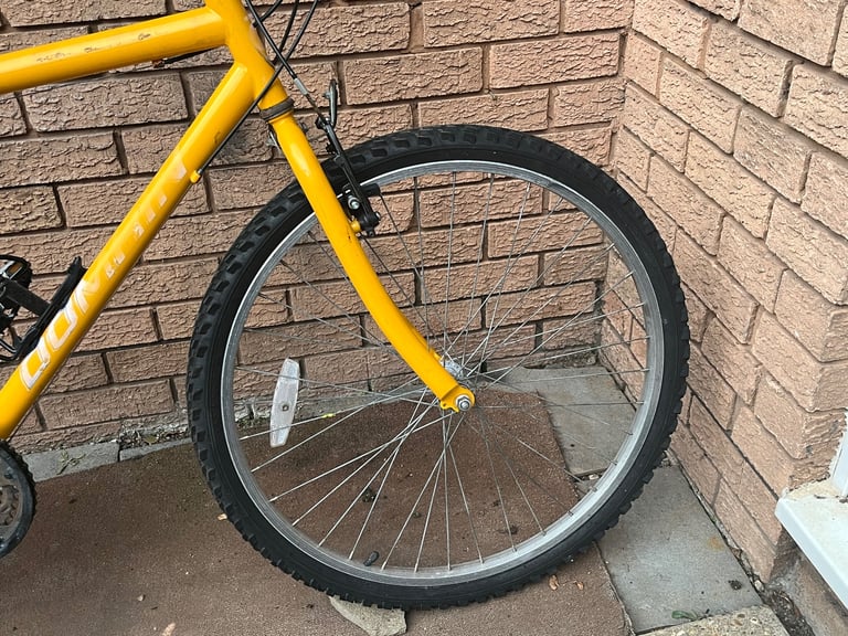 ADULT MEN BIKE DOMAIN IN GOOD WORKING ORDER 
