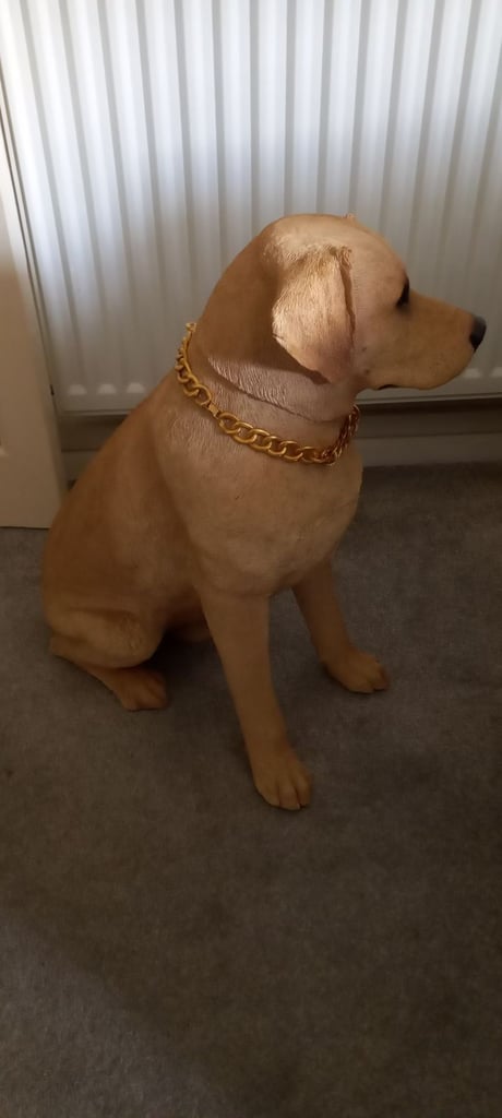 Sandstone Labrador