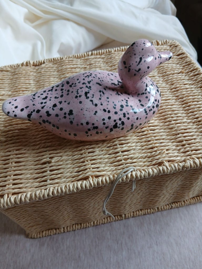 Pot Duck Ornaments