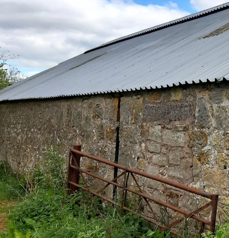 Galvanized steel roofing sheets (from recent demolition). Near Kinross.
