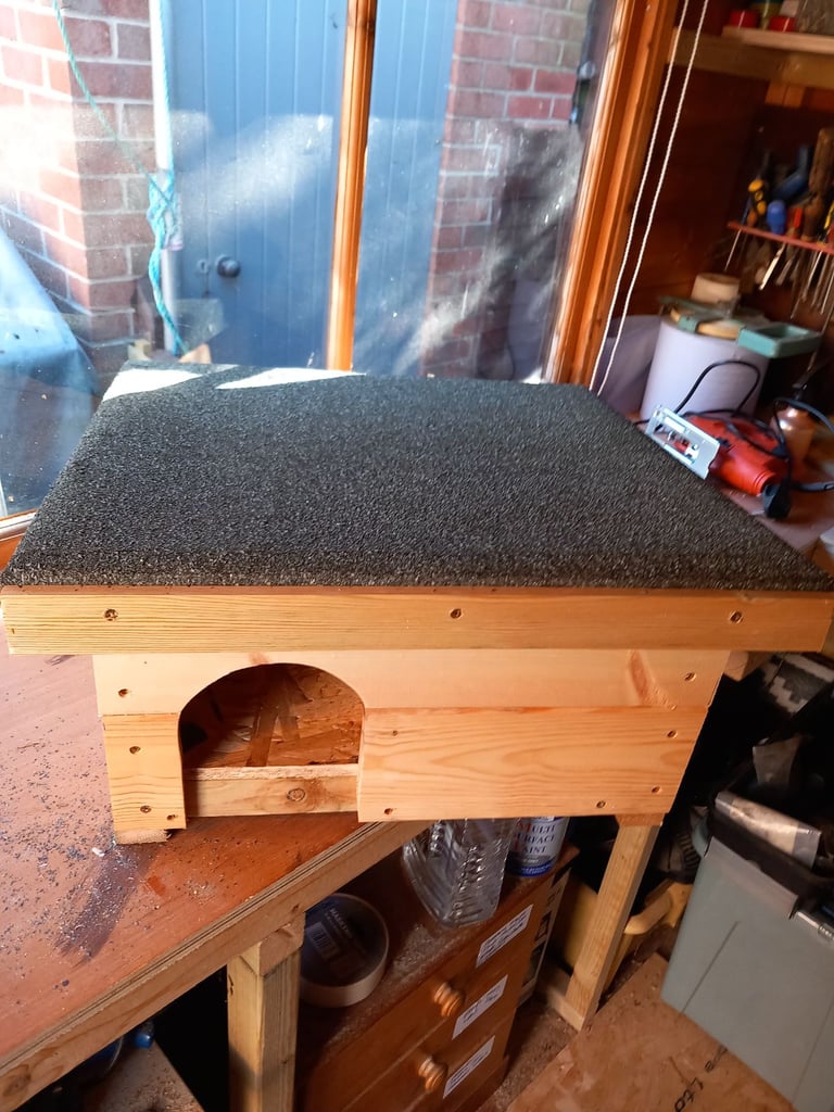 Hedgehog house