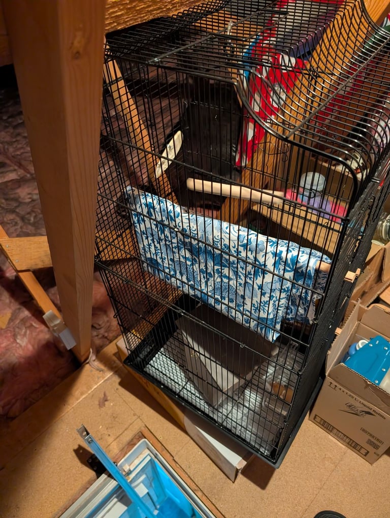 image for Bird cage 