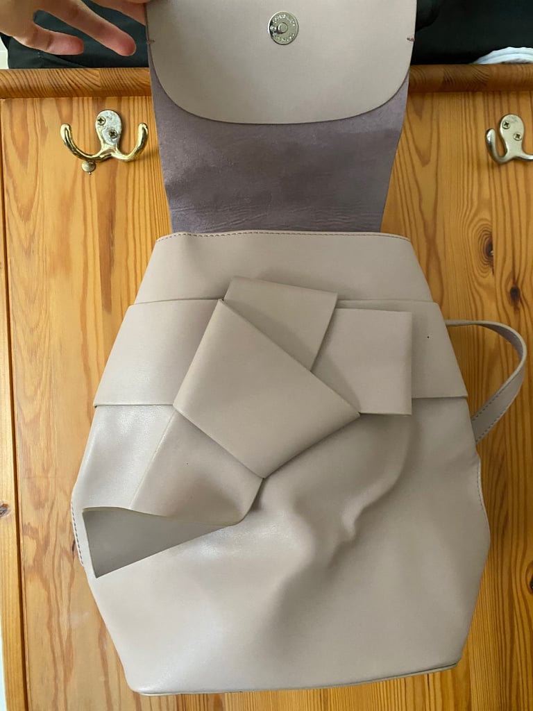 French connection backpack