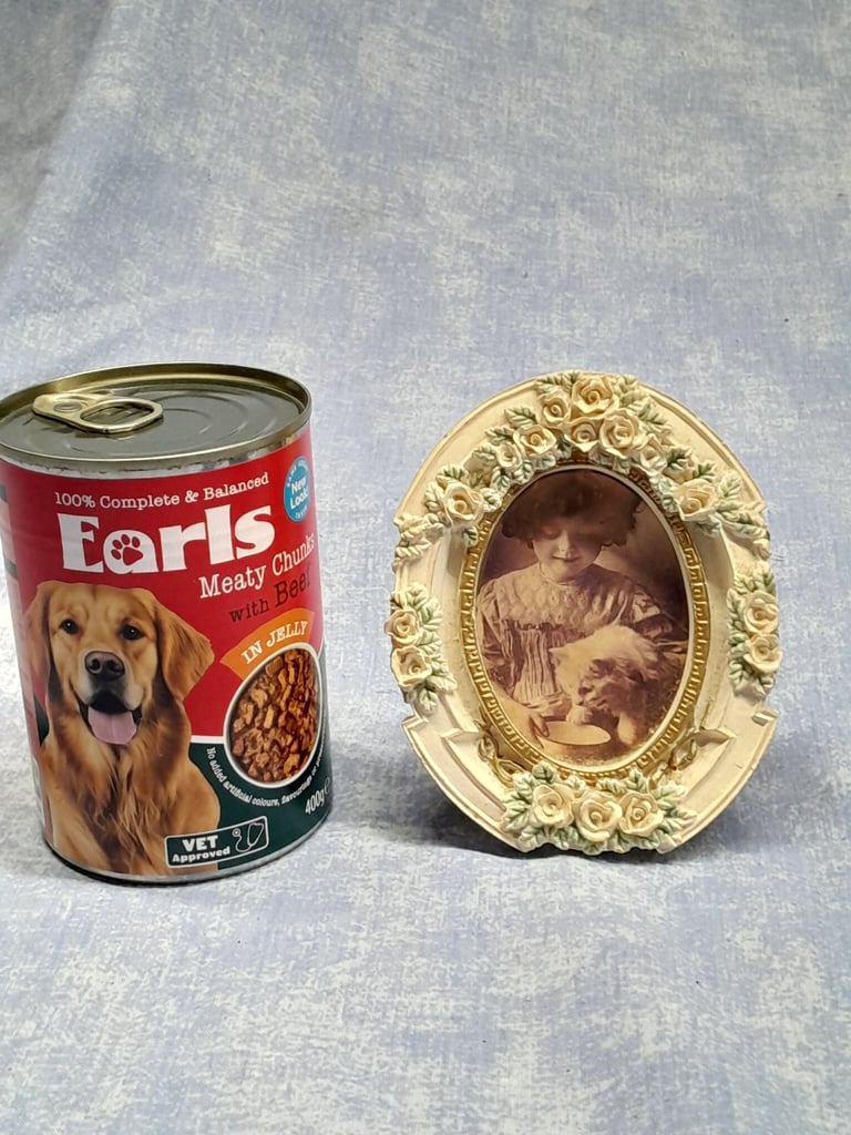 Vintage Oval resin photograph frame shabby