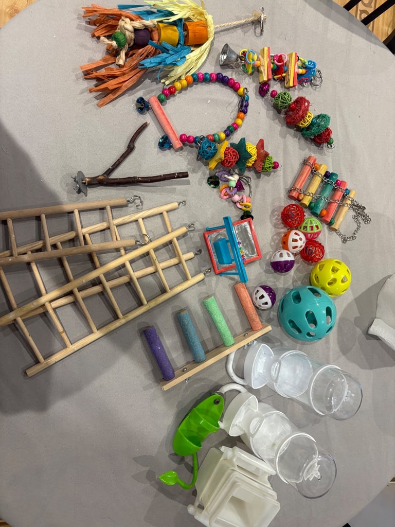 image for Pet bird toys/ accessories