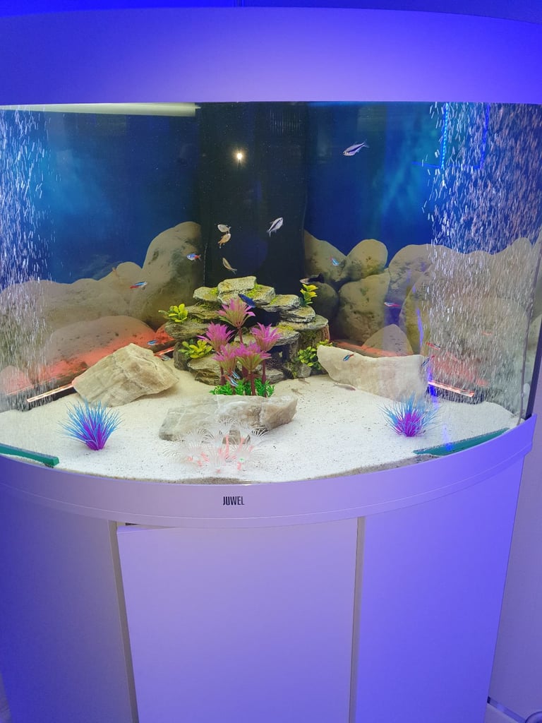 image for Fish tank