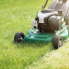 Gardener Available | Lawn Mowing | Hedge Triming | weeds Removed | Bushes & Trees |