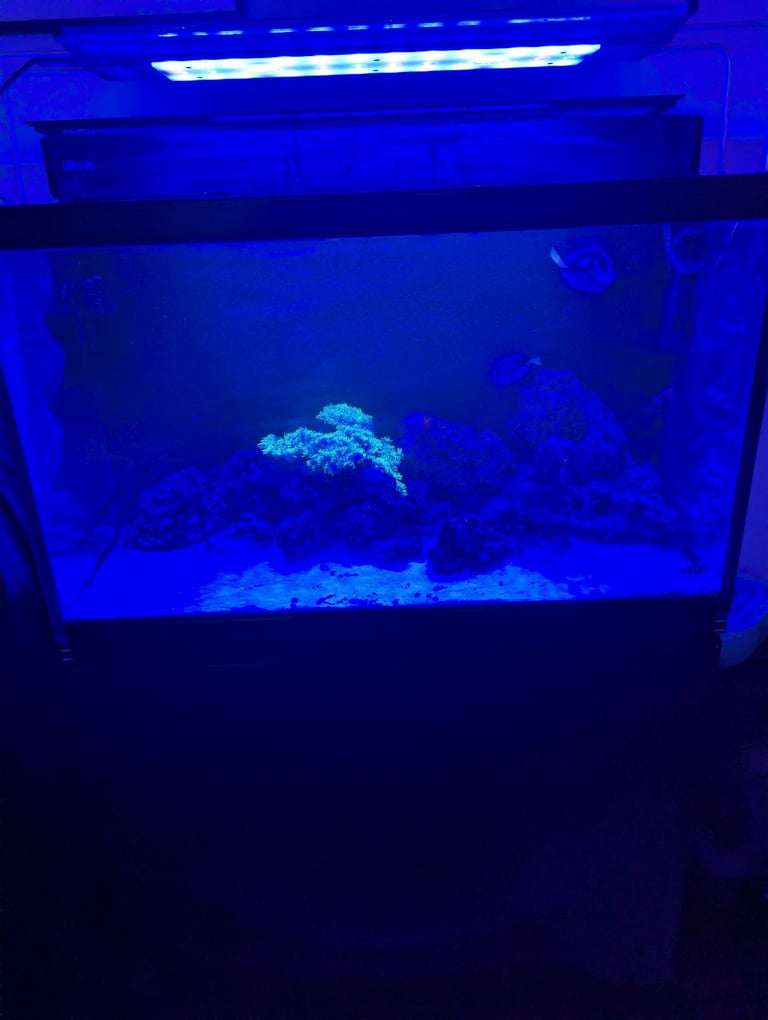 image for Red sea Marine tank