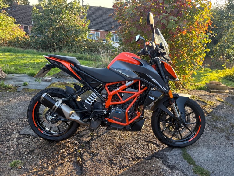 image for KTM, DUKE, 2023, 373 (cc)
