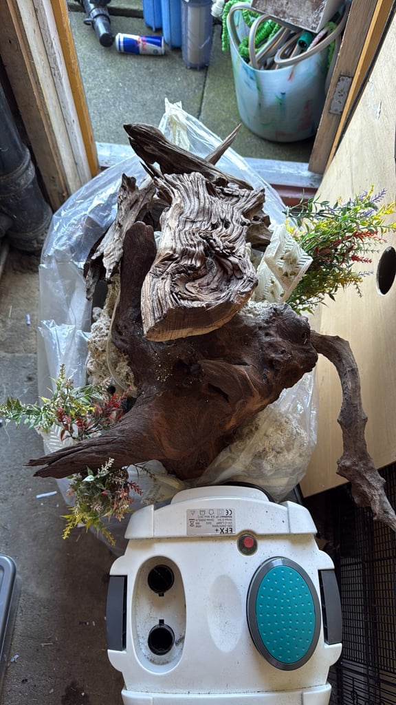 image for Coral wood filter 