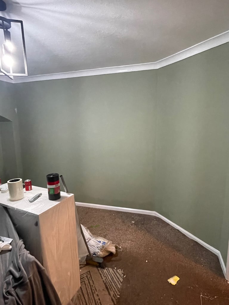 image for Professional painter and flooring fitter
