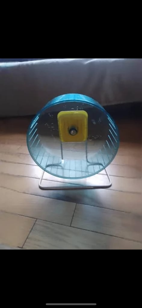 Exercise wheel 