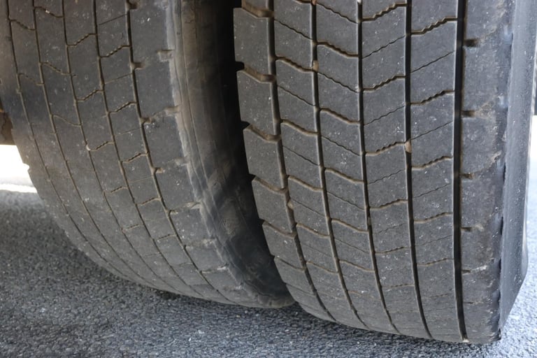 DAF LF 220 4X2 FRIGOBLOCK FREEZER BOXVAN (2014)