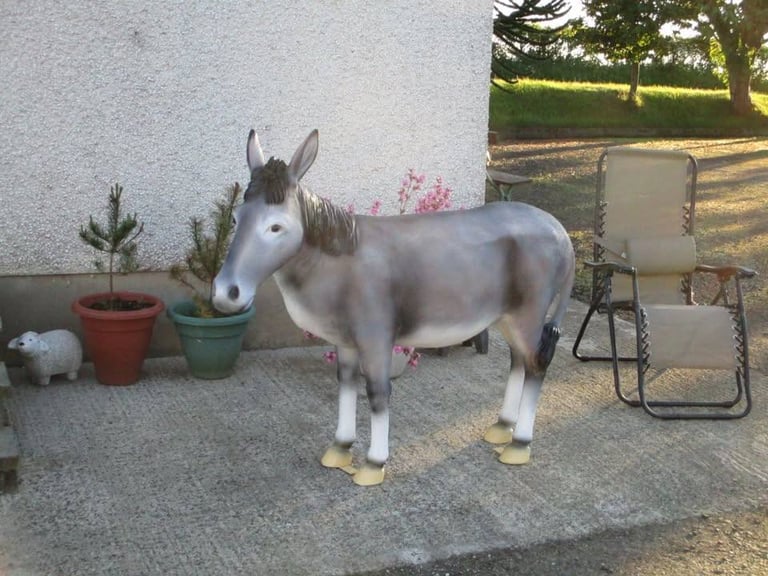 image for Life-Size Andalusian Donkey