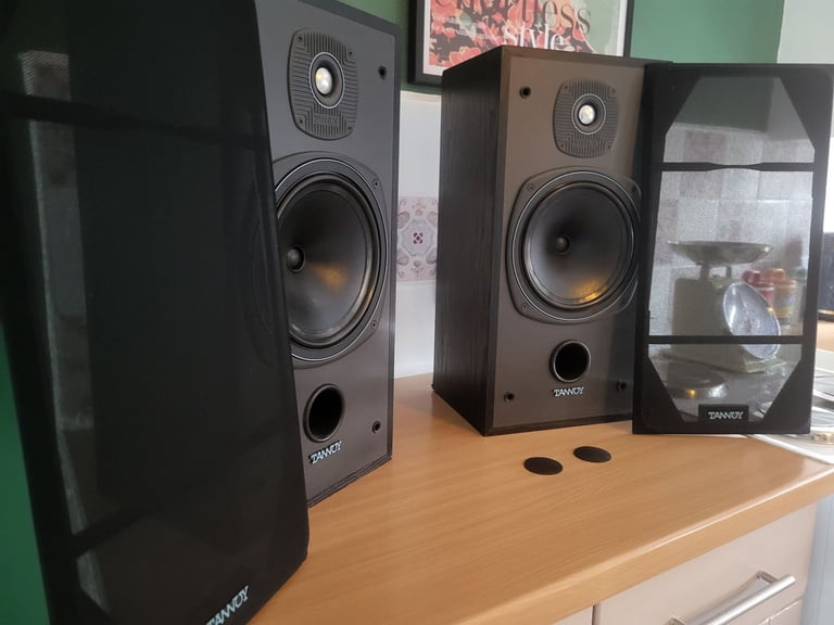 Large tannoy loudspeakers 