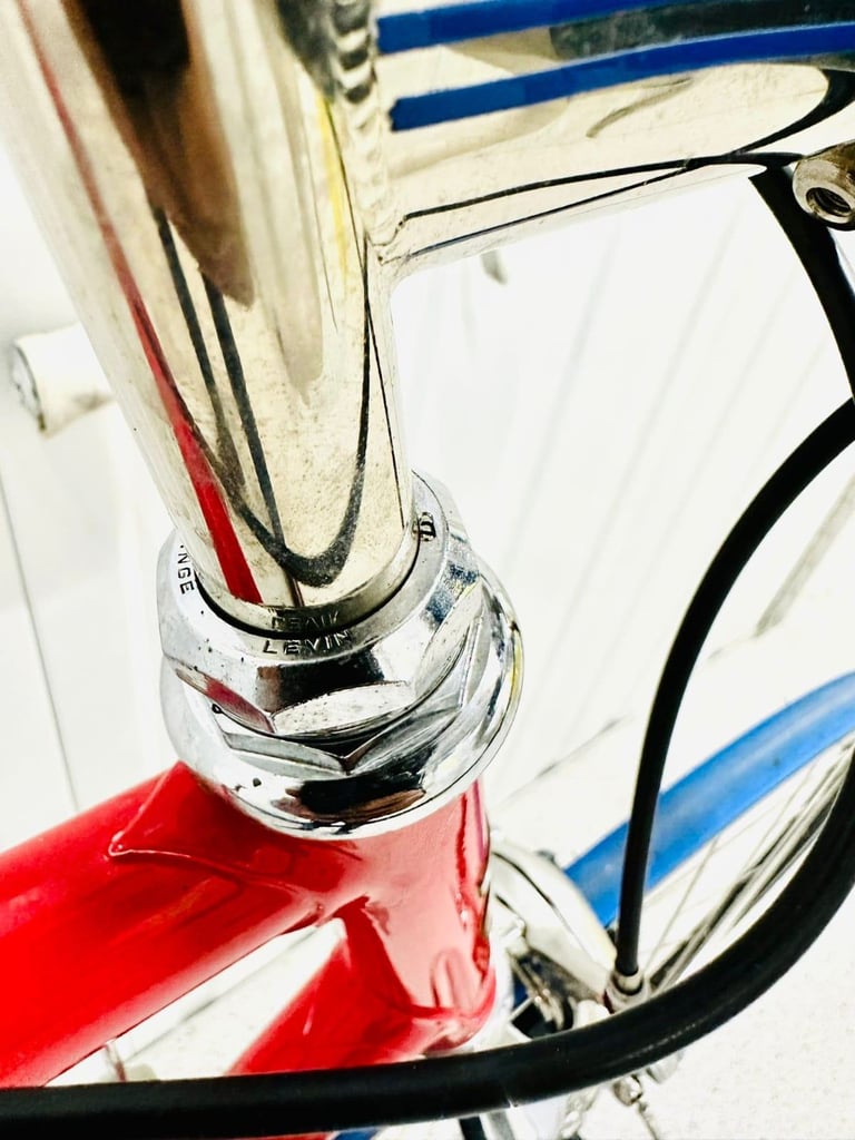 A7  BOTTECHIA Size/L Super LW Road Bike  12 Speed 700c Wheels