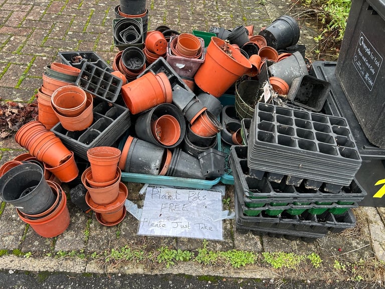 FREE plant pots, seed trays, plant pot trays. Collection only 
