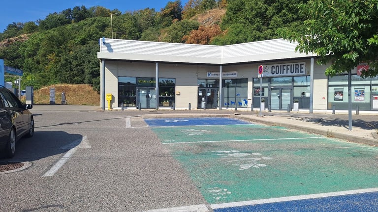 SOUTH OF FRANCE:  Pâradise 6h30 from London by train. 45 mn train to Lyon airport