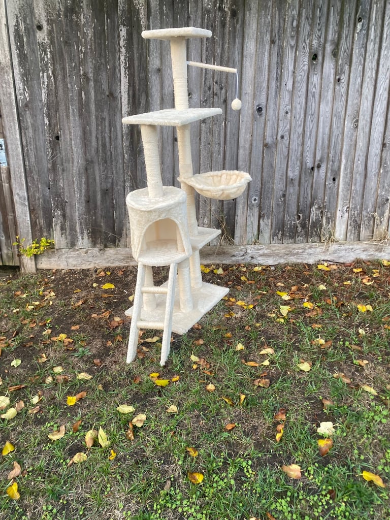 Large cat scratch entertainment pad