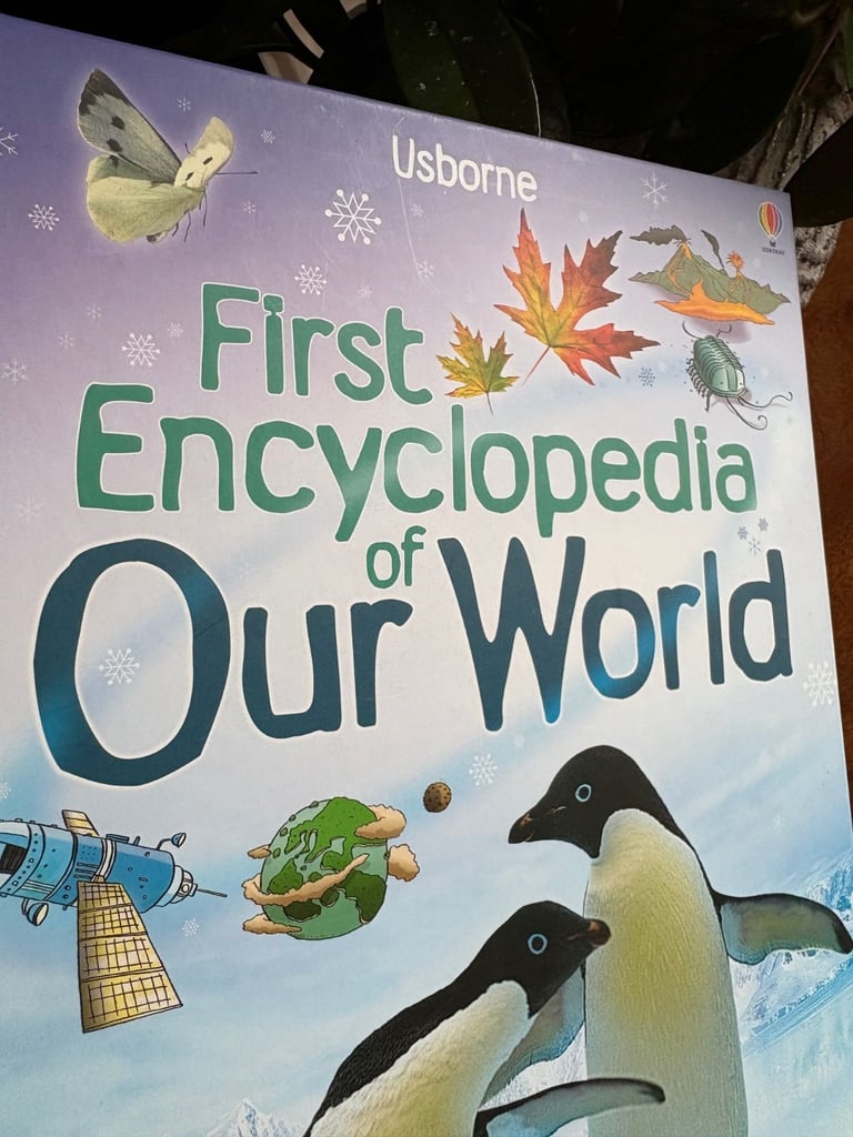 Usborne First Encyclopedia of our World 🌎