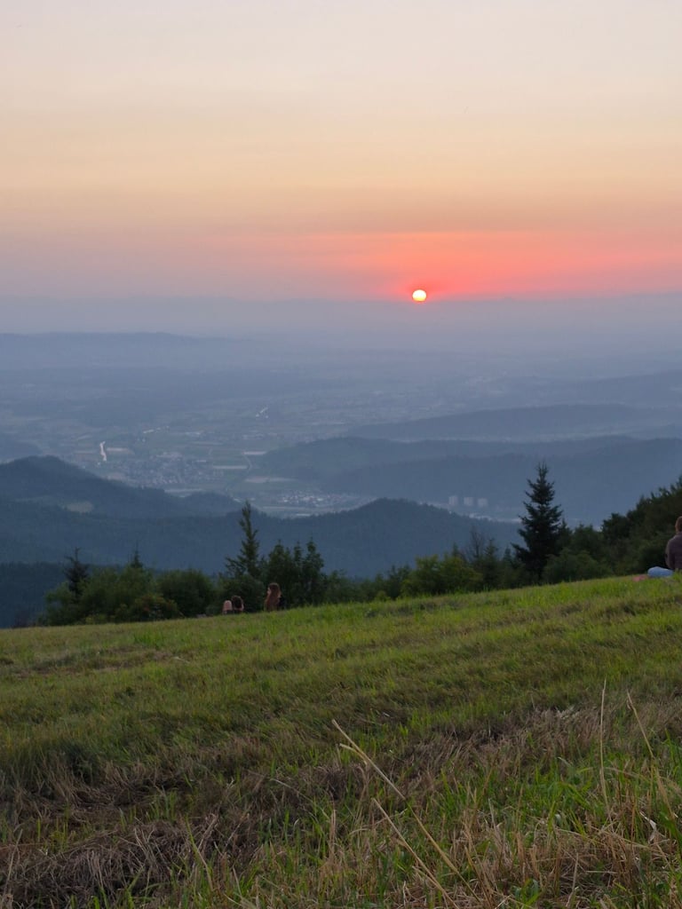 Looking for plot of land or small woodland 