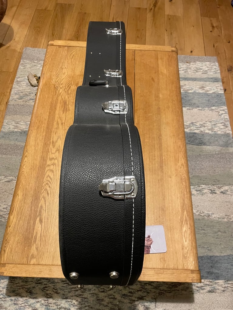 Vintage 12 string V1700-N12