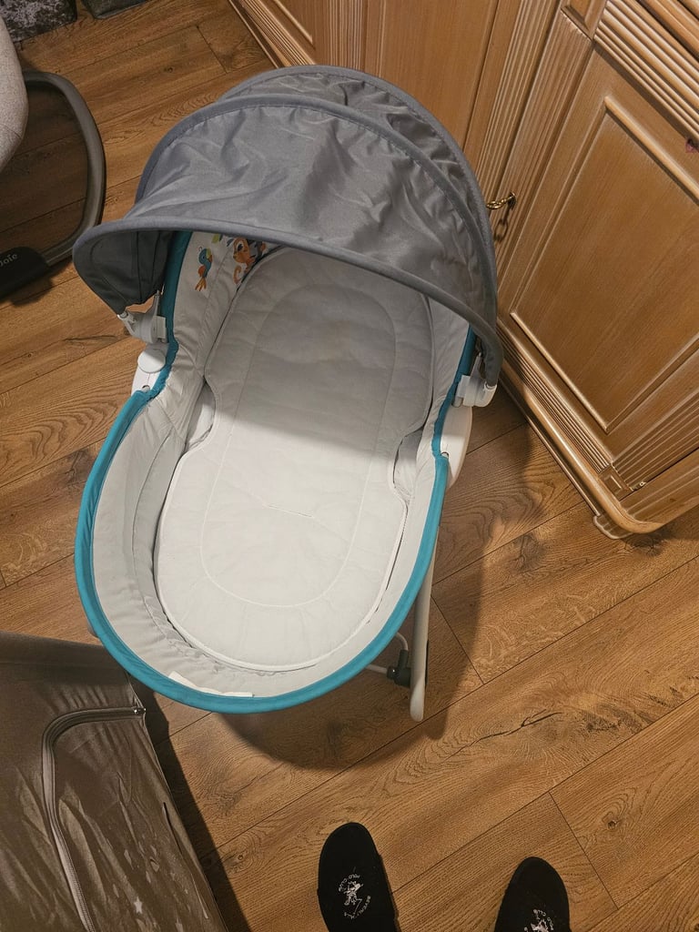 image for The 5in1 Rocker & Bassinet
