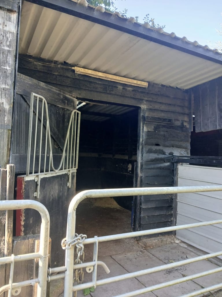 image for Stables and outbuildings 